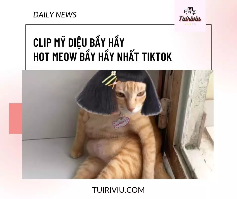 Clip Mỹ Diệu bầy hầy – Hot Meow “báo” nhất Tiktok