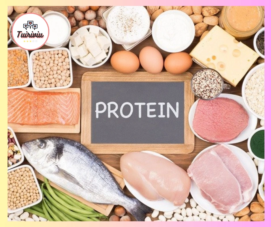 Ăn không đủ protein cũng là lý do khiến cho ăn ít nhưng vẫn tăng cân 