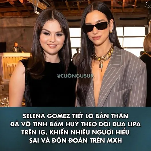 Selena Gomez khẳng định bản thân đã lỡ tay ấn huỷ theo dõi Dua Lipa trên Instagram